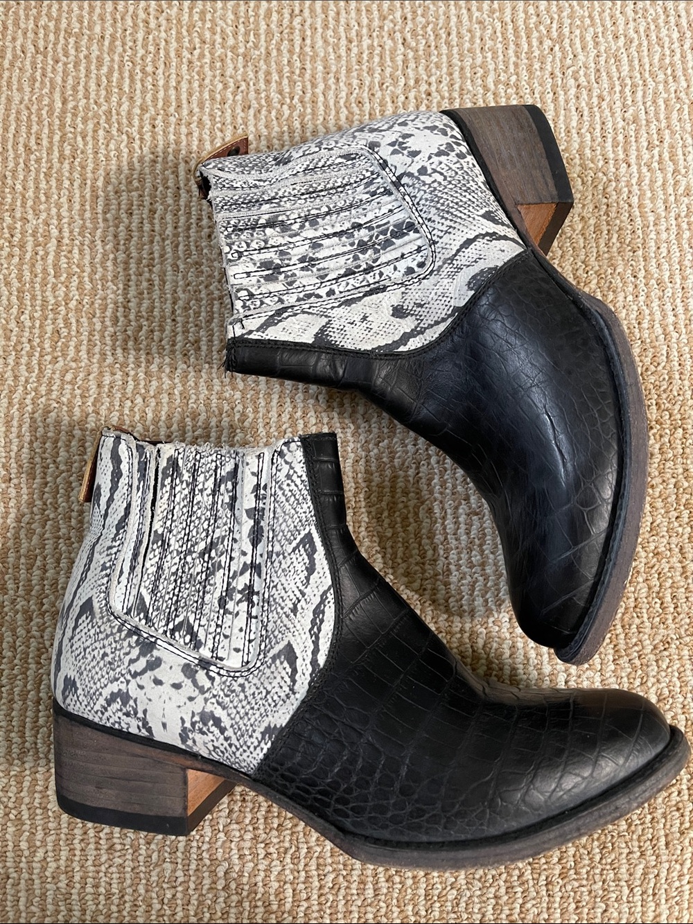 freebird salamanca Black & White Snake-Print Chelsea Booties